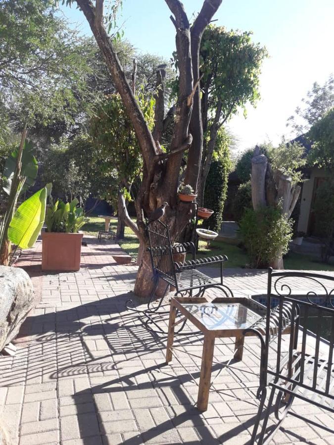 A New Earth Guest Lodge Francistown Extérieur photo